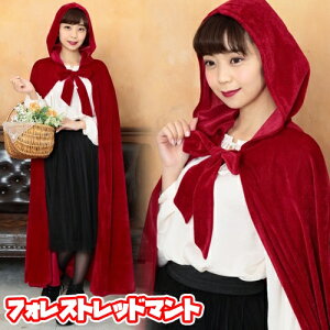 tHXgbh}g [Ԃ RXv }gO Ȃ肫 nEB  킢 ZNV[ f ߑ Wc  RX`[ Cxg l]y_886433z