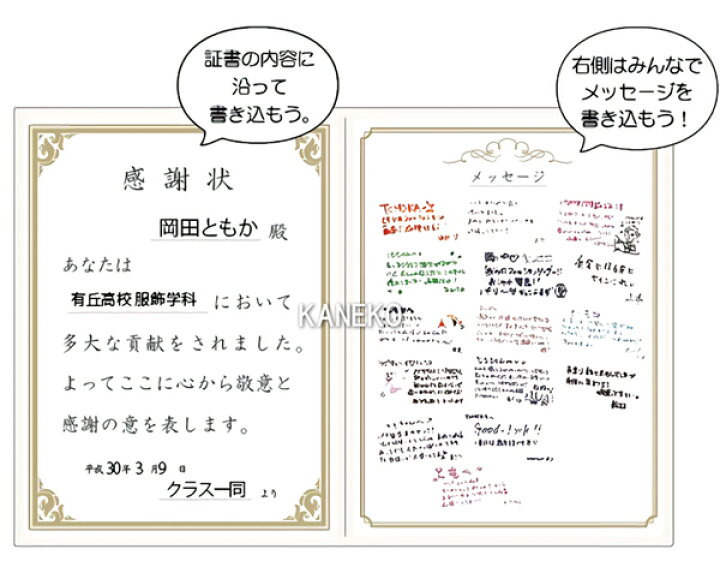 楽天市場 色紙 寄せ書き 感謝状色紙 先生 退職 記念 お別れ会 送別会 ギフト 贈り物 賞状 表彰状 卒業式 イベント メッセージ 引退 B 3018 イベントショップ パンプキン