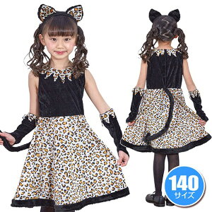 Ij[s[XiqpF140cmj@@[qE RXv nEBߑ nEB[ RX`[  q ̎q]y434818z