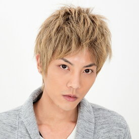 【メンズウィッグ】[3472]ストリームショート ナチュラルブロンド　[男性用 おしゃれ 変装 仮装 ウィッグ かつら ウィッグ メンズウィッグ] 【506475】