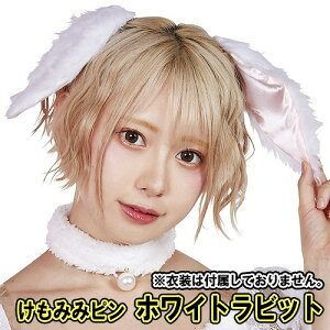 y4_܂Ń[ւ\z ݂݃s /zCgrbgiߑ͕t܂j@@[ Ȃ肫 킢 f CX^ s ET  RXv oj