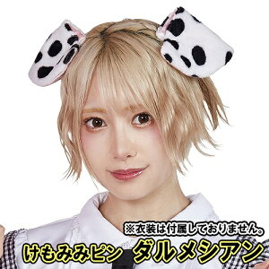 y4_܂Ń[ւ\z ݂݃s _VAiߑ͕t܂j@[݂ _VA RXv 킢 ̎q     Ȃ肫 Cxg   