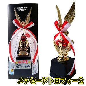 bZ[WgtB[ 2 [ʂ ʉ  j bZ[WJ[h 񂹏 ܏ LOi v[g 蕨 Mtg]yB-0729_064961z