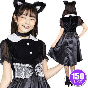 y1_܂Ń[ւ\zCOSCHU! K[YLbg 150@@mL RXv lR RXv ߑ RX`[ WjA qw JC ߑ Ȃ肫RX`[ nEB ߑ p[eB[