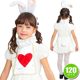 [ハロウィン コスプレ] ワンダーラビットガールキッズ 120cm [ハロウィングッズ ハロウィン衣装 ハロウィンコスチューム]【841920】