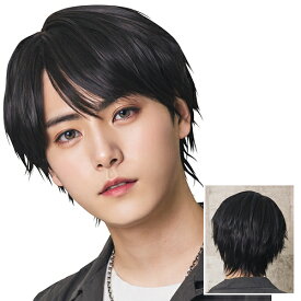 WIGGY RICHメンズ ベーシックショート(ブラック) [メンズウィッグ ウィッグメンズ ショート 男性用 かつら ファッションウィッグ 男装用 パーティーグッズ コスプレ コスチューム 仮装 イベント]【879978】