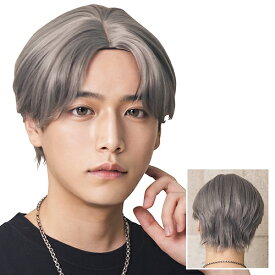 WIGGY RICHメンズ コンマヘア(シルバーアッシュ)　　 [メンズウィッグ ウィッグメンズ 男性用 かつら ファッションウィッグ 男装用 パーティーグッズ コスプレ 仮装 イベント]【_912125】