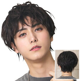 WIGGY RICHメンズ ニュアンスパーマ(ブラック)　　 [メンズウィッグ ウィッグメンズ 男性用 かつら ファッションウィッグ 男装用 パーティーグッズ コスプレ 仮装 イベント]【_912132】