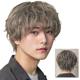 WIGGY RICHメンズ ニュアンスパーマ(アッシュベージュ)　　 [メンズウィッグ ウィッグメンズ 男性用 かつら ファッションウィッグ 男装用 パーティーグッズ コスプレ 仮装 イベント]【_912149】