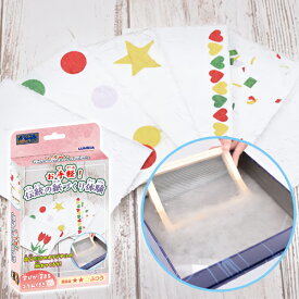 【2点までメール便も可能】お手軽！伝統の紙づくり体験　　[実験キット 工作キット 体験キット 夏休み課題 小学生 親子遊び 知育玩具 理科 科学 化学 誕生日プレゼント 贈り物 景品 子ども会 イベント]【B-3645_596437】