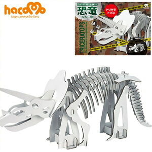 [hacomo] nRvV[Y gPgvX [_{[ Ntg H ċx  y q eq R y[p[Ntg hacomo nR]yB-1743_012016z