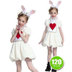 不思議の国のアリス うさぎ コスプレの人気商品 通販 価格比較 価格 Com