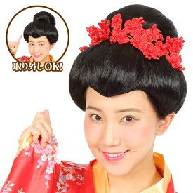 [イベント コスプレ] カツランド 日本髪 [お姫様 かわいい 時代劇 舞妓 かつら コスプレ おもしろかつら 仮装 変装]【C-0689_871408】