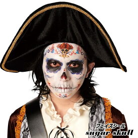 楽天市場 ハロウィン メイク テーマ コスチューム 海賊 の通販