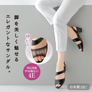 iT_ yȃT_ [̃vl yȍזT_ 2g] b T_ L T_ 4E T_ ȂT_ ₷T_ O T_ r