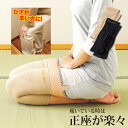 勝野式 ひざサポーター [ 勝野式 ひざ軽さん ] サポーター 薄手 膝サポーター 薄手ながら膝をしっかりサポート。膝 サポーター ひざ 左右兼用 薄型 薄手 ひざサポーター 膝用サポーター ベージュ 肌色 ブラック 黒 レディース MEIDAI Dr.katsuno 膝痛 足 痛み ヒザ関節痛