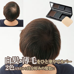 ファンデ ヘアカラー 頭皮 ヘアカラーの人気商品 通販 価格比較 価格 Com