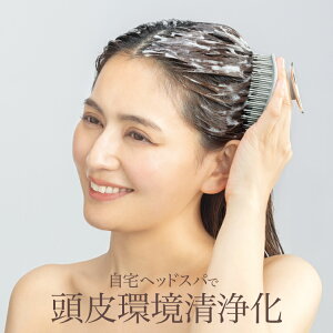 Vv[uV [ Soin Brush \uV ] PA wbhXp ObY wAPA  wAuV XJvuV cAbv ь XJvPA uVVv[ 玉 