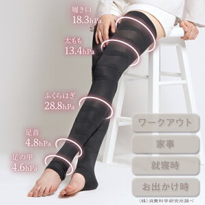 r T|[^[ [ X^C~[Y 2 ] T|[^[ r rT|[g    ӂ͂ X r \bNX _CGbgT|[^[ eObY NT|[^[ X^