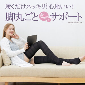 r T|[^[ [ X^C~[Y ] T|[^[ r rT|[g    ӂ͂ X r \bNX _CGbgT|[^[ eObY NT|[^[ X^C