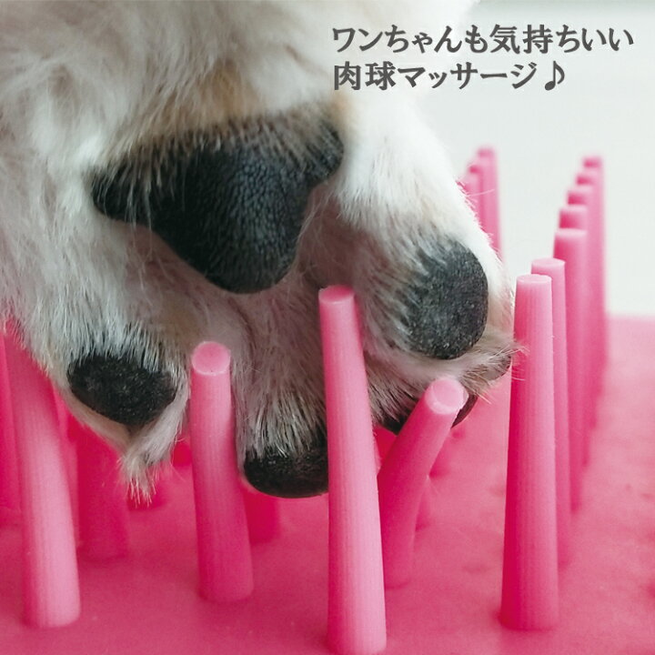 今月限定 特別大特価 犬 足洗い 足洗いカップ 猫 肉球 足洗浄カップ 足クリーナー お散歩後 マッサージ効果 携帯便利 小型 中型犬 最適 軽い Discoversvg Com
