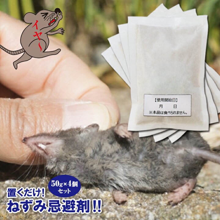楽天市場 ネズミ忌避剤 チューチューバイバイ ねずみ駆除 忌避剤 置くだけ簡単 ネズミを寄せつけない ネズミ忌避剤 ダブルパワー ネズミ 鼠 撃退 ネズミ退治 退治 対策 餌 設置 臭い ねずみ退治 ねずみ忌避剤 鼠駆除 ねずみ対策 ネズミ対策 日本製 健康 美容雑貨