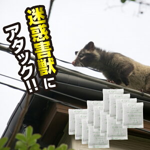 Qb쏜  [ VR nNrVAoCoCI 50g12ܓ ]VR̓ȃjIC𔭂 uȒPɃnNrVEACO}EC^`񂹕t܂ VRf100% Q