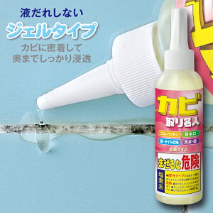 JrWF [ Jr薼l ] łȃJr WF ގ ZxWF Jr C   ra Lb` gC Jr   Ɩp Jr JrƂ 