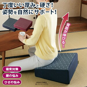 zc  [ ɂ₳NbV ] p zc ̕Sy zc  zc   ᔽ 􂦂 zc  zc NbV Lw΍ hV̓ ̓ v[