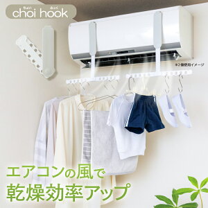 GAR tbN [ choi hook i傢ӂj ]   ȃGl GAR    nK[ GARnK[ tbNz_[ tbNt GAR