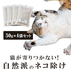 L  [Lbgǂ낭mLoCoCI 50g×4ܓ] ĽjIC L΍ L񂹕tȂ uȒP 30Ԍʎ  ^Cv Ō`^Cv Ԓd Ԍ S~̂ď 