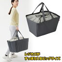 買い物カゴ 保冷バッグ [ レジカゴすっぽり保冷バッグ ] エコバッグ レジカゴバッグ 保冷 エコバッグ 保冷 折りたたみ レジカゴ 保冷 大容量 たためる 保冷バッグ 買い物かごバッグ レジかご用バッグ レジカゴ型 クーラートートバッグ クーラーバッグ 買い物バッグ