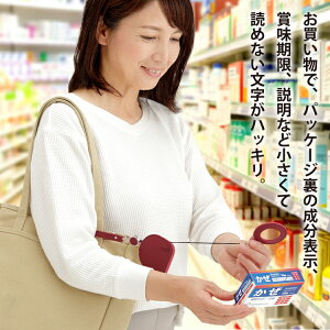 [y  [ ̂тĕ֗Ȃo|[y ] [y fB[X obO`[ [y gу[y obOɕt郋[y [t[y L`[t RpNg[y 킢[