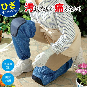 Ɨp ЂJo[m fjЂeN^[O (Eg) n Y{ԂЂĂ̍Ƃyȍƒ _ƂЂeN^[ K[fjO ЂeN^[ | |  Y{