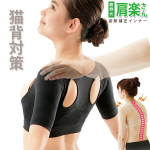 Lw  [ 쎮 y ]p␳Ci[Ŏ  ObY Ԓ郁C_C̔w ␳xg  ObY w xg p␳Aw΍ w؃Ci[ L