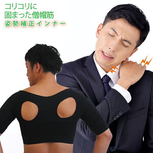 p Ci[ [ 쎮 y ]pCi[Ŏ  Lw΍ w xgԒLwxg pxg Y Ci[ Lwxg p pT|[^[ p