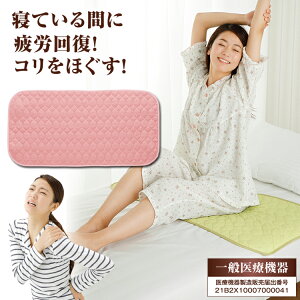 敷きパッド 腰痛 ベッドパッド 通販 価格比較 価格 Com