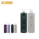 【LINE登録で300円OFF】ナンバースリー ヒュウケア シャンプー 660ml＋トリートメント 620g 計2個 ポンプセット[no3 hue care リバイタライジング ナリシング ヘアカラー カラーケア カラーケアシャンプー カラーケアトリートメント シャンプー 送料無料]
