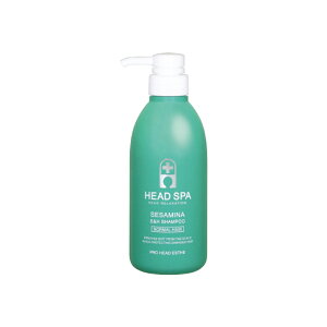 �yLINE�o�^��300�~OFF�z�t�H�[�V�[�Y�� �X�J���v&�w�A�V�����v�[ 500ml[�w�A�P�A �V�����v�[ �X�J���v ���� �t�P ����� �L�� �X�b�L�� �玉 �ь� �N���A ���邨�� ���Ȃ₩ �c�� �T�����ꔄ ���e