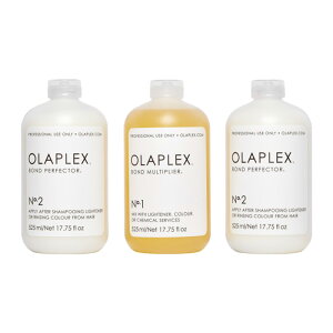 yLINEo^300~OFFzIvbNX TLbg No.1 {h}`vC[ 525ml{No.2 {hp[tFN^[ 525ml×2 v3Zbg[olaplex _[WPA g[gg yA C C 