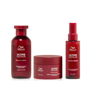 y/KX/9OFFN[|zK̔X WELLA EG A^C R Vv[ 250ml 1 + R CeX }XN 150ml 1 + R ~N 95ml 1 v3Zbg[A^CZbg yAVv