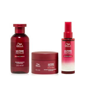 y/KX/9OFFN[|zK̔X WELLA EG A^C R Vv[ 250ml 1 + R CeX }XN 150ml 1 + R ~N 95ml 1 v3Zbg[A^CZbg yAVv