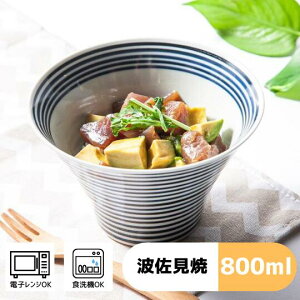 qIREKOr ꂱq () | 16×10cm 800cc@l    ˔ pX^ ꂱq { ۑ H