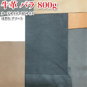 U[Ntg {v  J[hTCYB5TCY܂ 800g A\[g _Jbg ͂ o C^A tX { ōi _炩 \tgU[ VRv  JbgU[