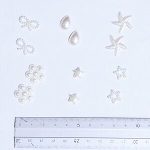 Ntg nhChfރp[c 6 21Zbg 4Ԃ̂1ł@^앗 p[ Wf ANZT[ Ntgf {  NQ  