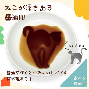 y[ցzA^ lRݖM ˂  AR0604193 ݖM 킢 