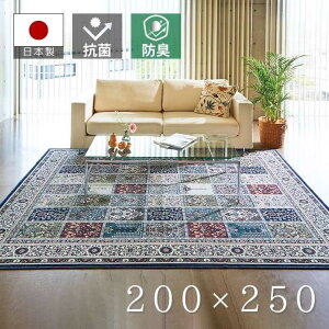 �y���[�J�[�����z��ꏤ�� ���{�����P�b�g�D�R�ۖh�L���H���O�y�x���^�[�i�z200×250 �l�C�r�[ �J�[�y�b�g ���r���O �C���e���A ��3�� �R�� �h�L ���g �z�b�g�J�[�y�b�g �Ή� �I�[���V�[�Y�� 