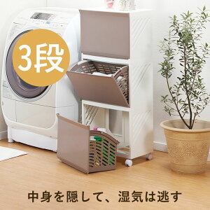 y[J[zaH h[{bNX Clevan323 AC{[ / x[W / uE / u[ 44cm LX^[  No ړ  q 傫  킢 B 3i K