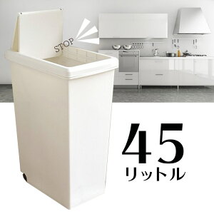 S~ aH XChy[45L  { zCg  Lb`  S~ LX^[t XCh ^b` t^t _Xg{bNX mg[ y[ p^ Vv qI