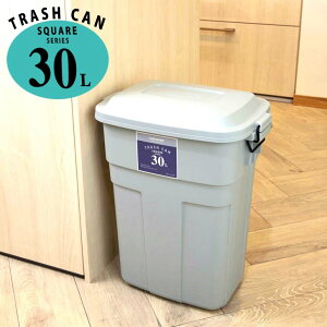 ●○ 岩崎工業 トラッシュカン30 ブルーグレー ゴミ箱 室内 屋外 フタ付き ロック付き ベランダ キッチン 分別 資源ごみ 30リットル 大容量 丈夫 頑丈 いたずら防止 シンプル ダストボックス